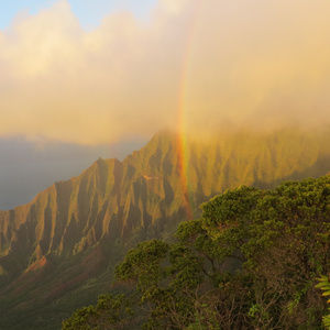 Meet your Posher, Blake